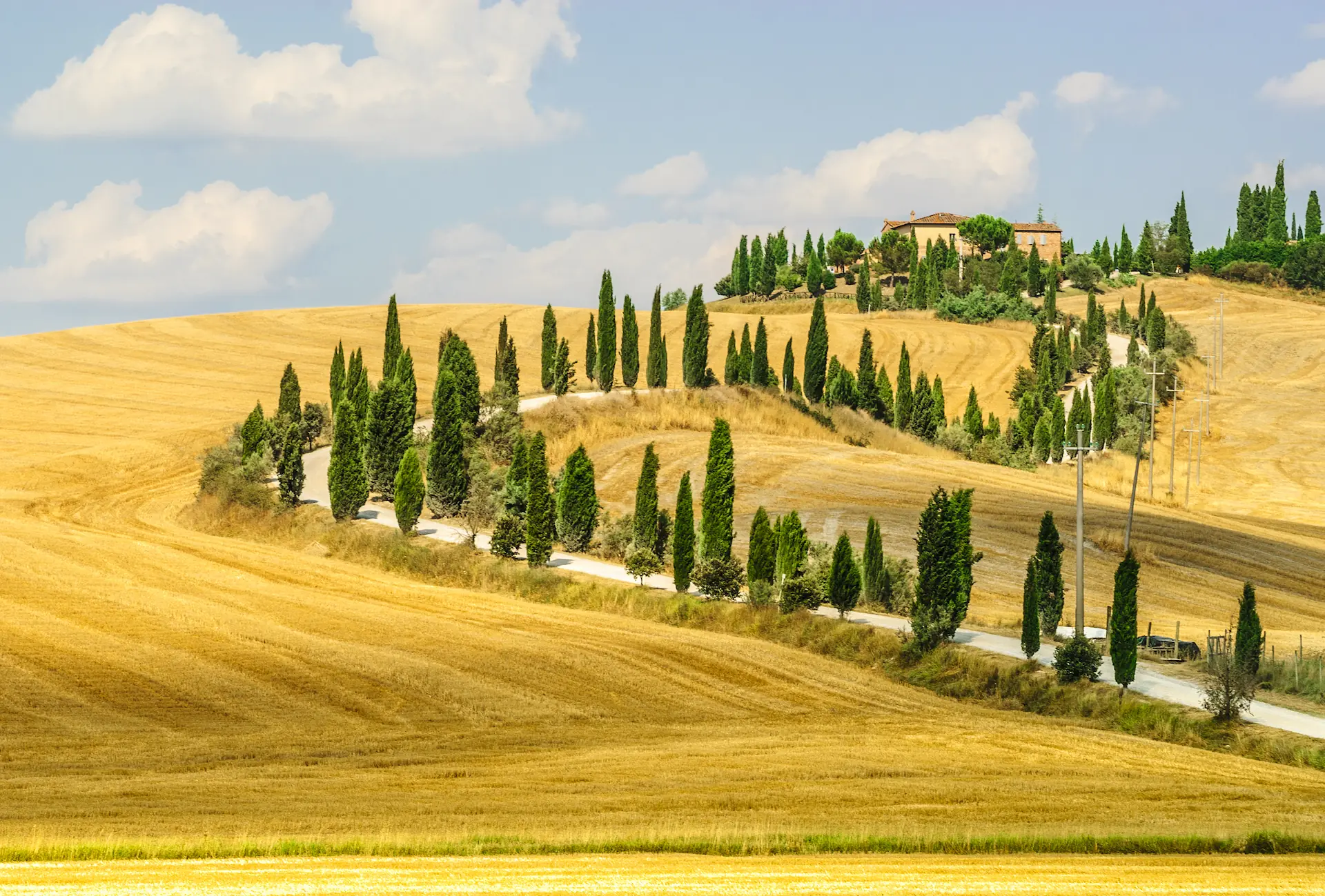 Tuscany landscape